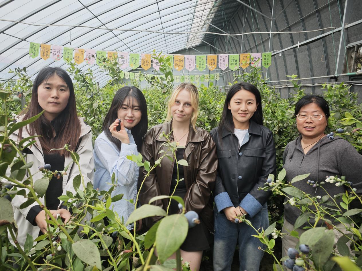 微信图片_20250421120229